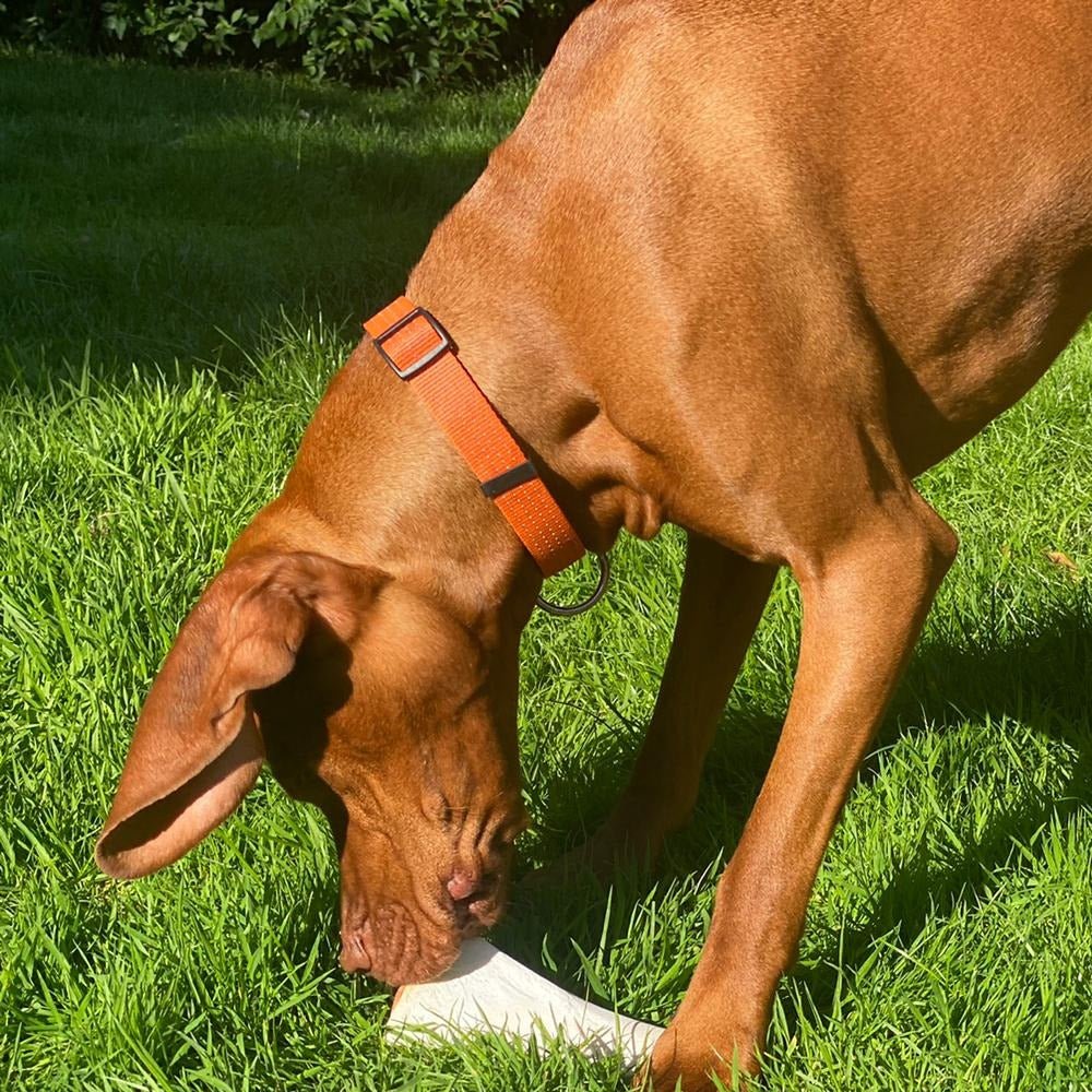 Stuffed Beef Bones - Chewbox Natural Dog Chew - Grain & Gluten Free
