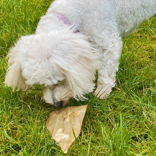 Cow Ears - Chewbox Natural Dog Chew - Grain & Gluten Free