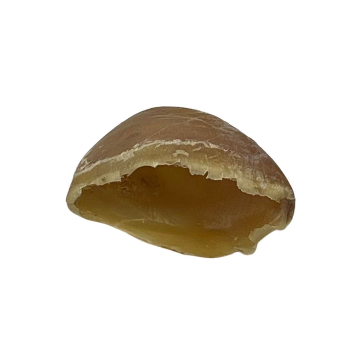 Cow Hooves - Dogs Go Shop Natural Dog Chew - Grain & Gluten Free