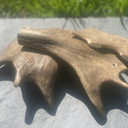 Deer Antlers - Dogs Go Shop Natural Dog Chew - Grain & Gluten Free