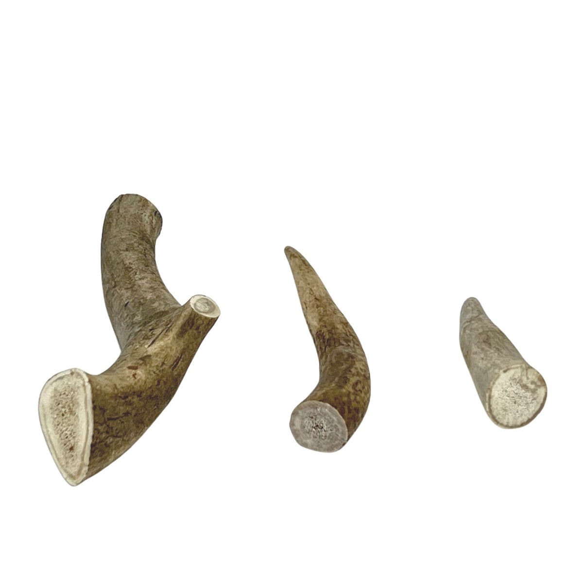 Deer Antlers - Dogs Go Shop Natural Dog Chew - Grain & Gluten Free