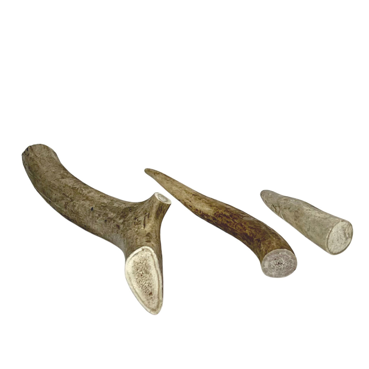 Deer Antlers - Dogs Go Shop Natural Dog Chew - Grain & Gluten Free