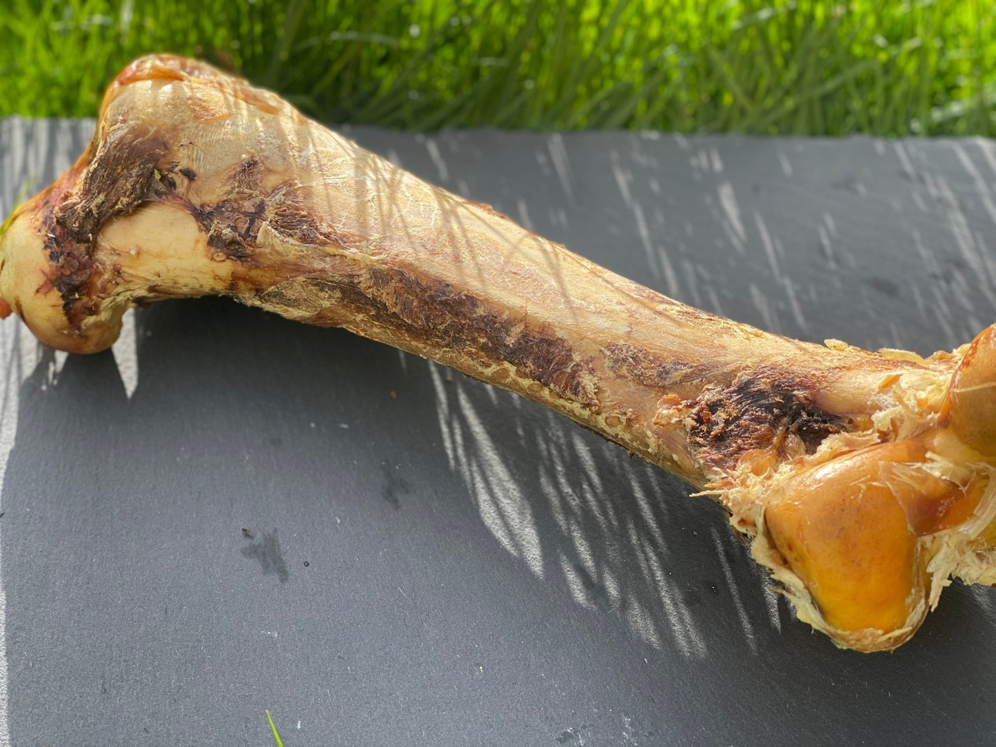 Ostrich Bones - Chewbox Natural Dog Chew - Grain & Gluten Free