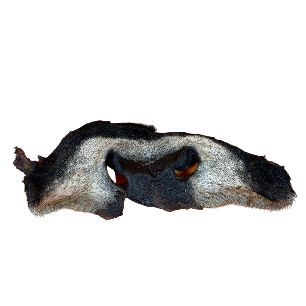 Furry Cow Nose - Dogs Go Shop Natural Dog Chew - Grain & Gluten Free