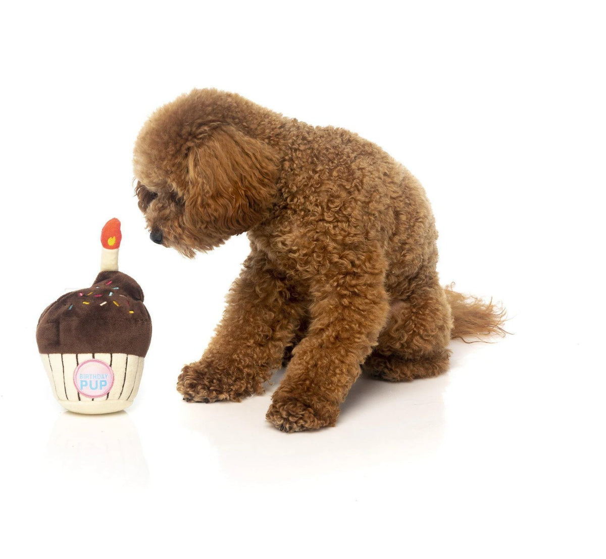 Fuzzyard Birthday Pup Cake - Dogs Go Shop Dog Toy