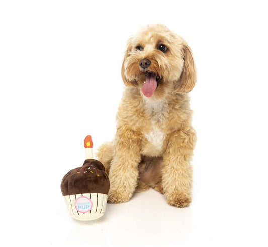 Fuzzyard Birthday Pup Cake - Chewbox Natural Dog Chew - Grain & Gluten Free