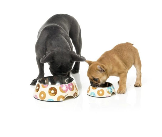Go Nuts For Donuts Easy Feeder Pet Bowl - Chewbox Natural Dog Chew - Grain & Gluten Free