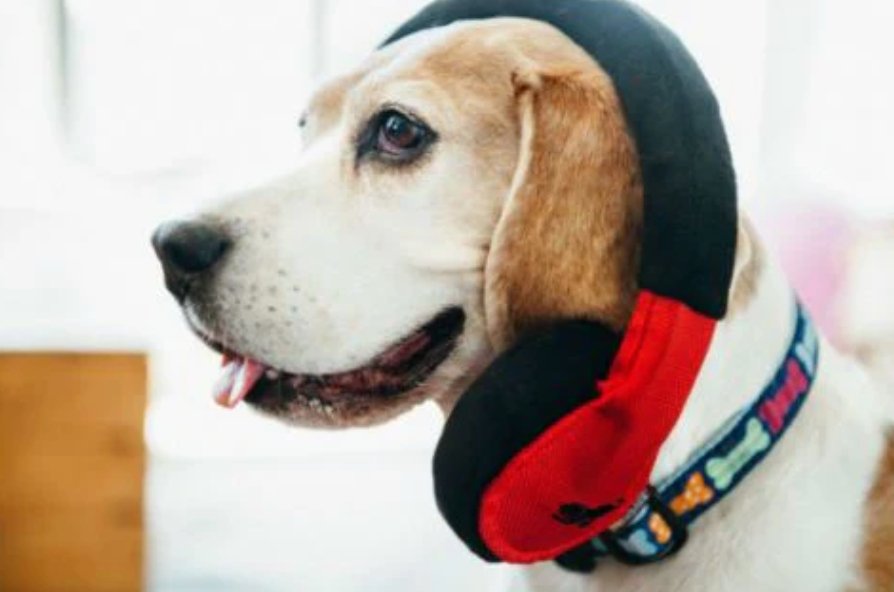 Headphones Plush Dog Toy - Chewbox Natural Dog Chew - Grain & Gluten Free