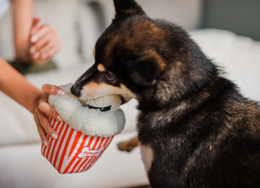 Hollywoof Collection Poppin’ Popcorn - Chewbox Natural Dog Chew - Grain & Gluten Free