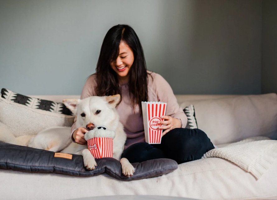 Hollywoof Collection Poppin’ Popcorn - Chewbox Natural Dog Chew - Grain & Gluten Free