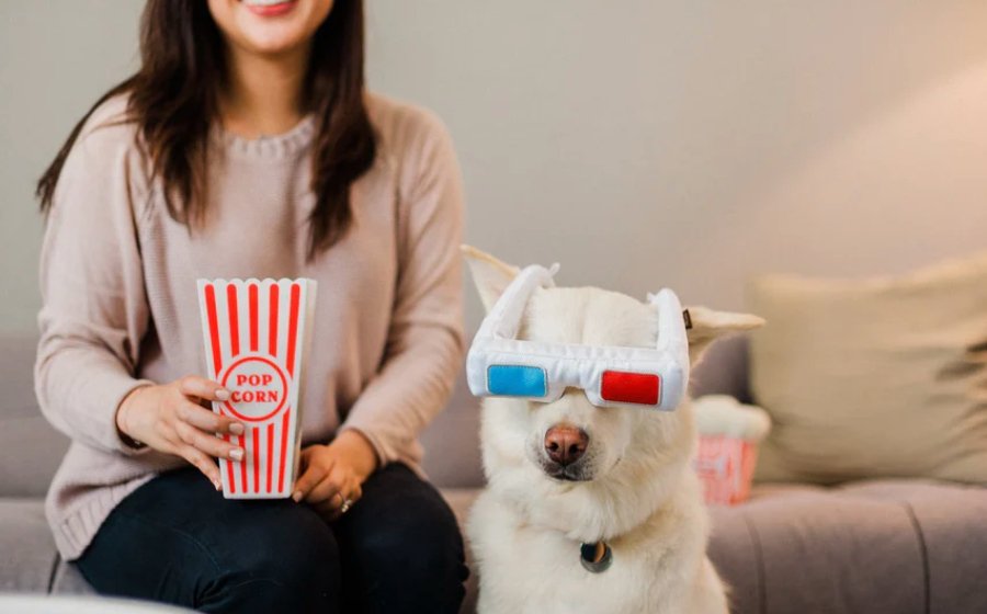 Hollywoof D3-Dog Glasses Dog Toy - Chewbox Natural Dog Chew - Grain & Gluten Free