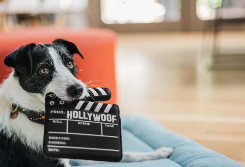 Hollywoof Doggy Director Board Dog Toy - Chewbox Natural Dog Chew - Grain & Gluten Free