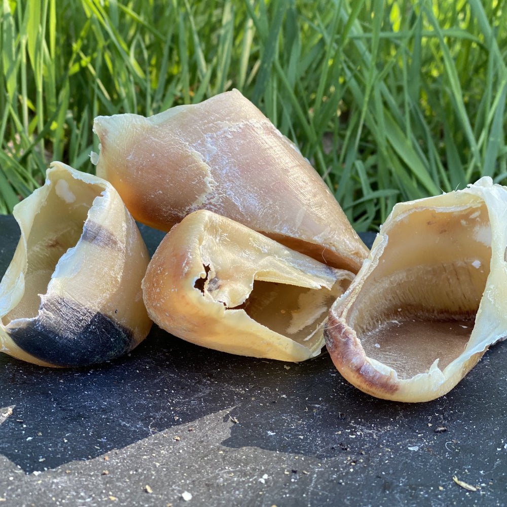 Cow Hooves - Dogs Go Shop Natural Dog Chew - Grain & Gluten Free