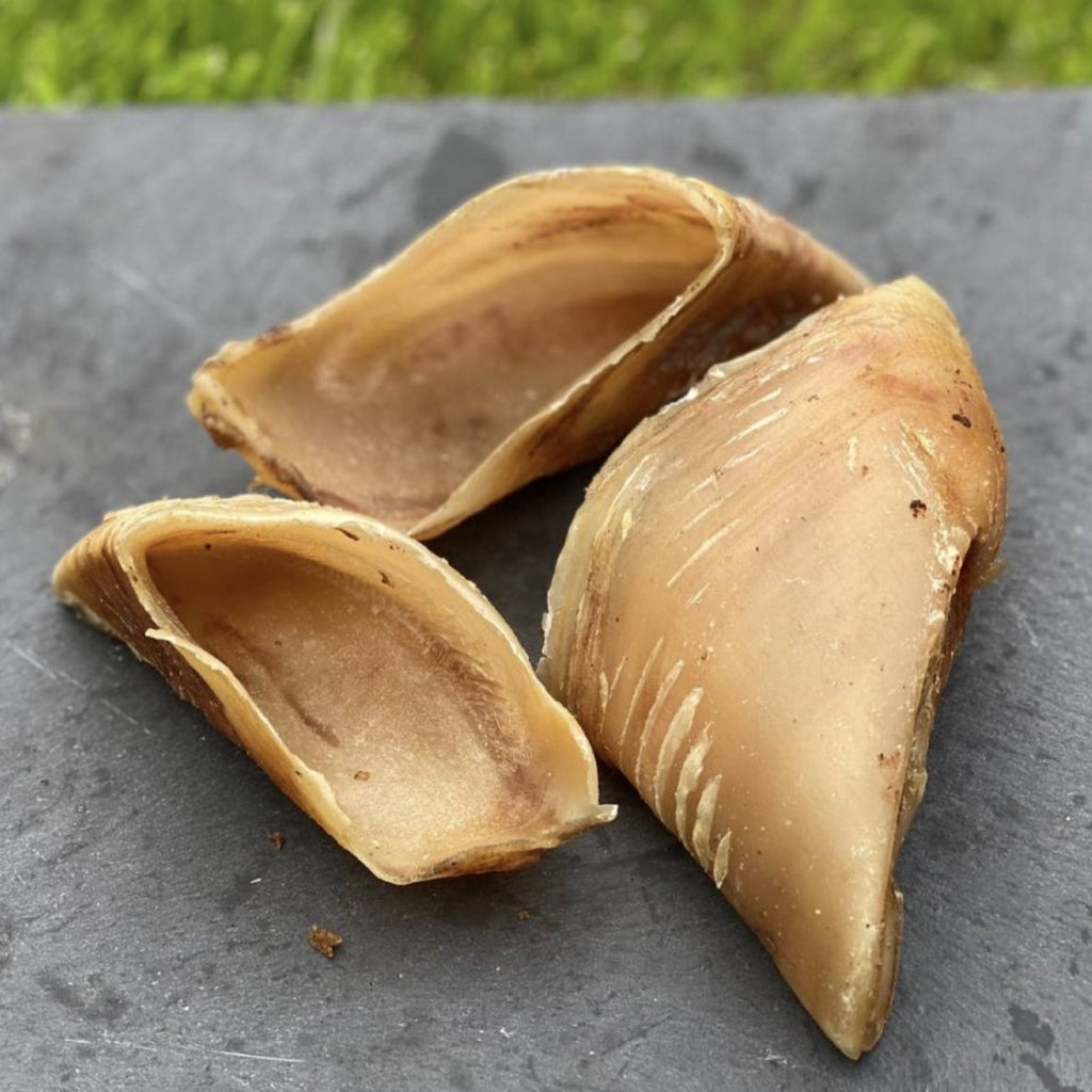 Cow Hooves - Dogs Go Shop Natural Dog Chew - Grain & Gluten Free