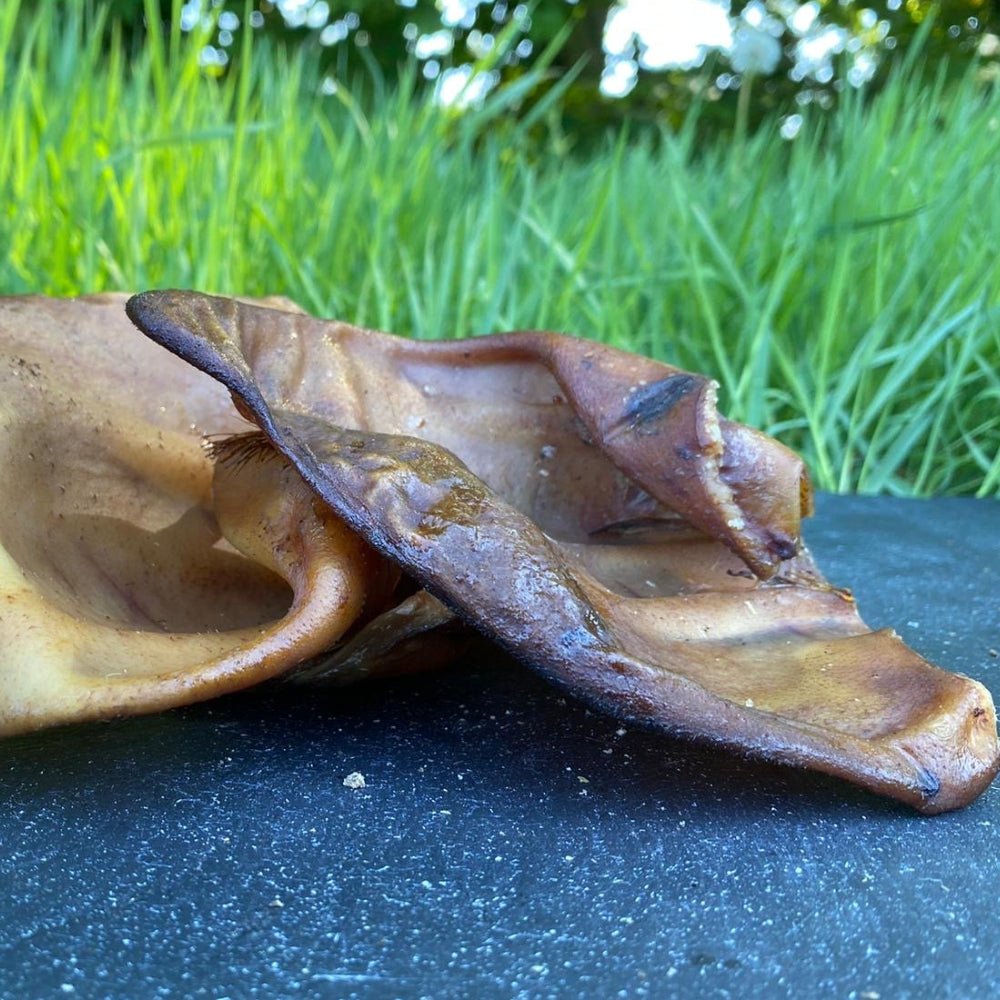 Iberian Pig Ears - Chewbox Natural Dog Chew - Grain & Gluten Free
