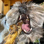 Lamb Lung - Dogs Go Shop Natural Dog Chew - Grain & Gluten Free