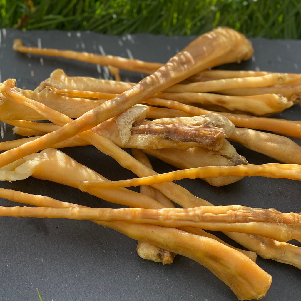 Lamb Tails - Dogs Go Shop Natural Dog Chew - Grain & Gluten Free