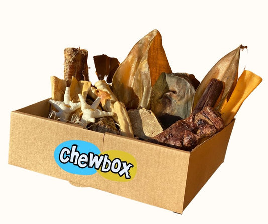 Large Breed Chewbox Essential - Chewbox Natural Dog Chew - Grain & Gluten Free