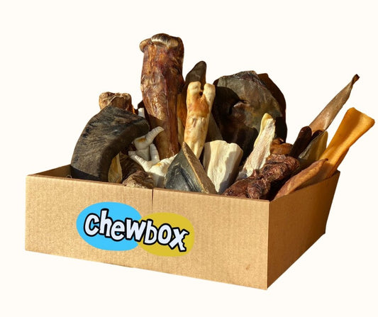 Large Breed Chewbox Original - Chewbox Natural Dog Chew - Grain & Gluten Free