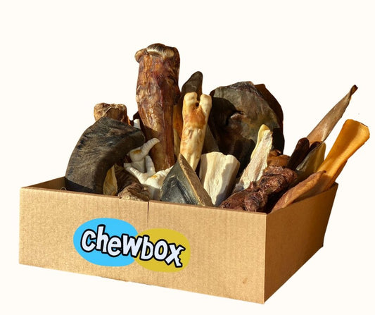 Medium Breed Chewbox Original - Chewbox Natural Dog Chew - Grain & Gluten Free