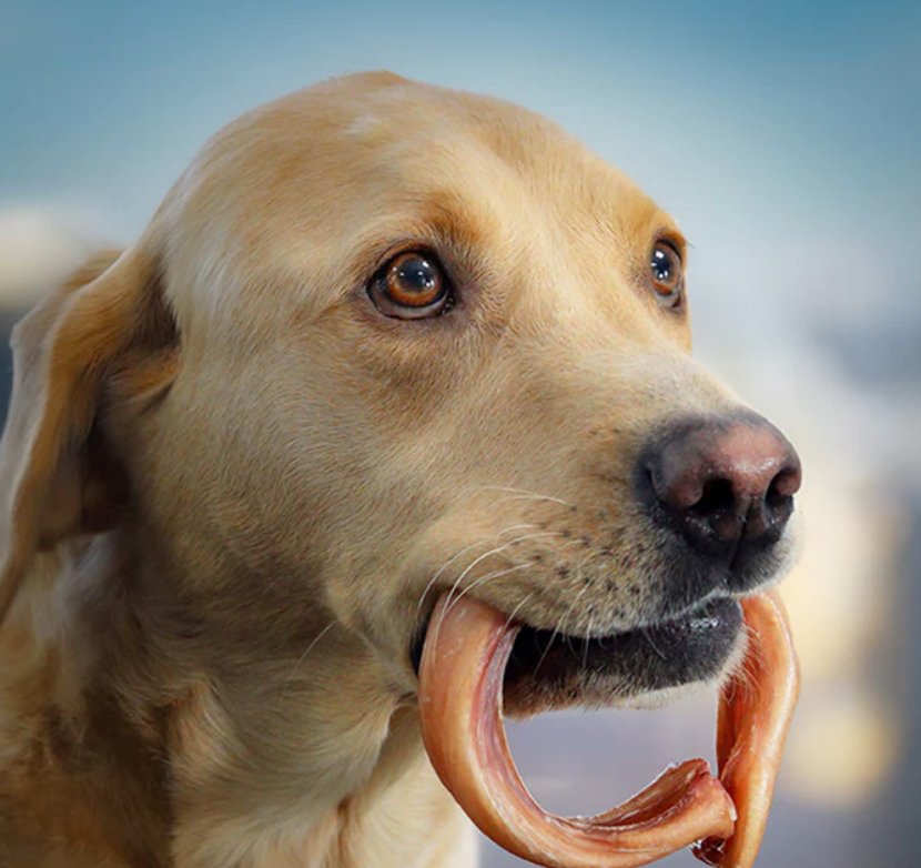 Odorless Pizzle Ring - Chewbox Natural Dog Chew - Grain & Gluten Free