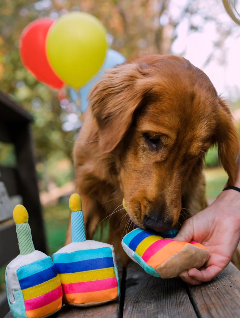 Party Time Bone-Appetit Cake Plush Dog Toy - Chewbox Natural Dog Chew - Grain & Gluten Free