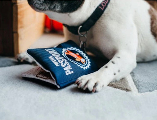 Passport Dog Toy - Chewbox Natural Dog Chew - Grain & Gluten Free