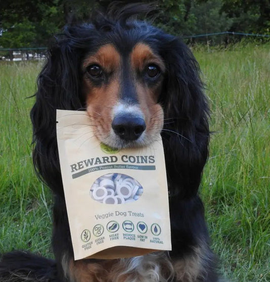 Peanut Butter Reward Coins - Chewbox Natural Dog Chew - Grain & Gluten Free