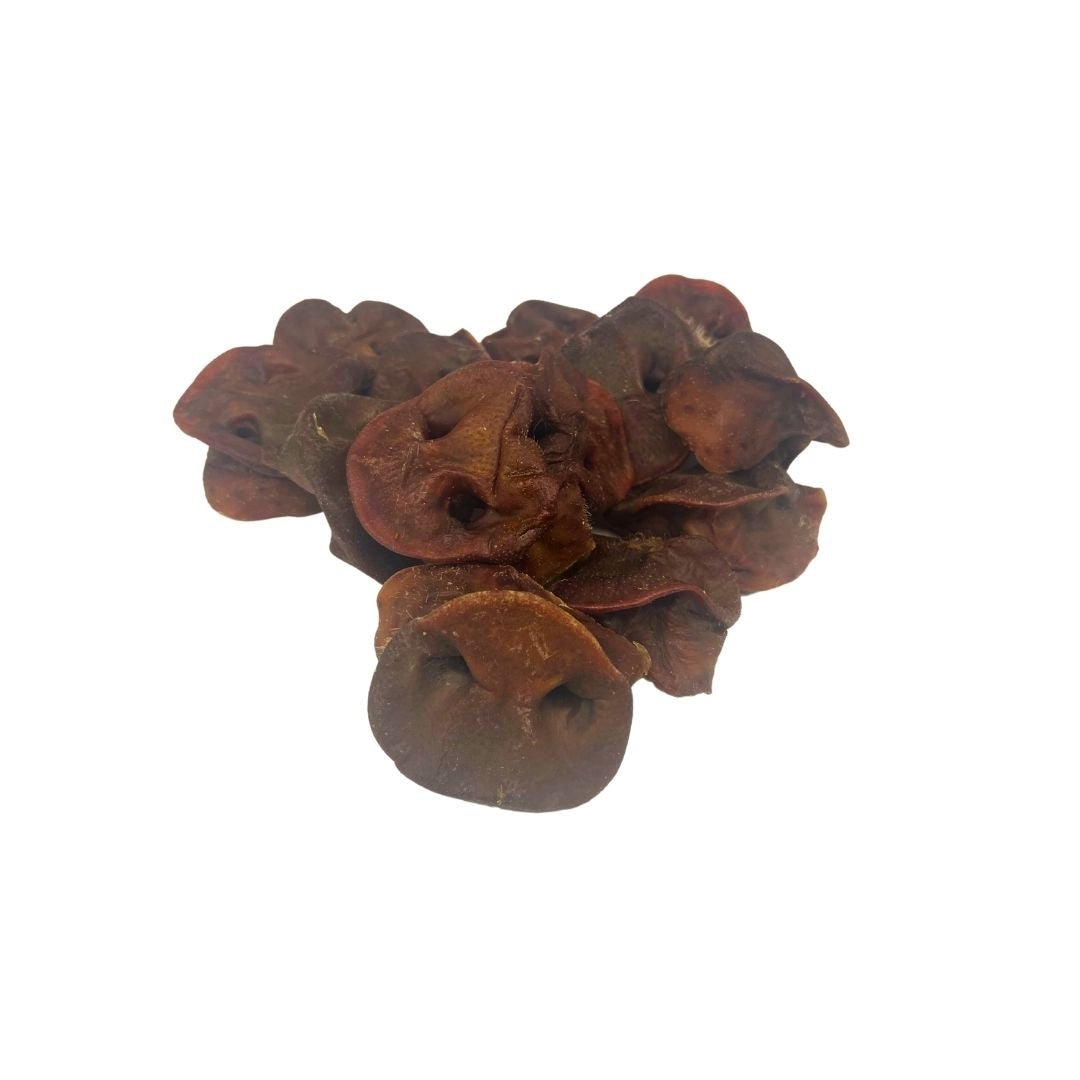 Pig Snouts - Dogs Go Shop Natural Dog Chew - Grain & Gluten Free