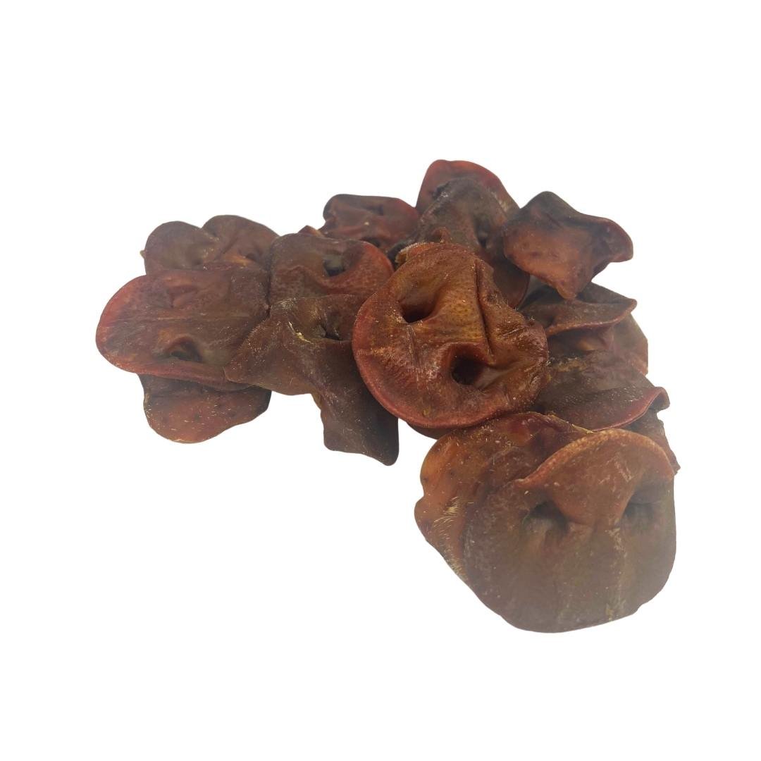 Pig Snouts - Dogs Go Shop Natural Dog Chew - Grain & Gluten Free