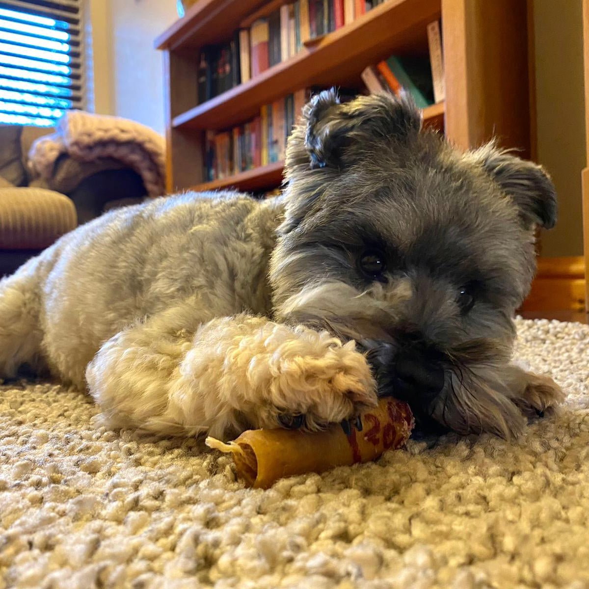 Pigs in Blankets - Chewbox Natural Dog Chew - Grain & Gluten Free