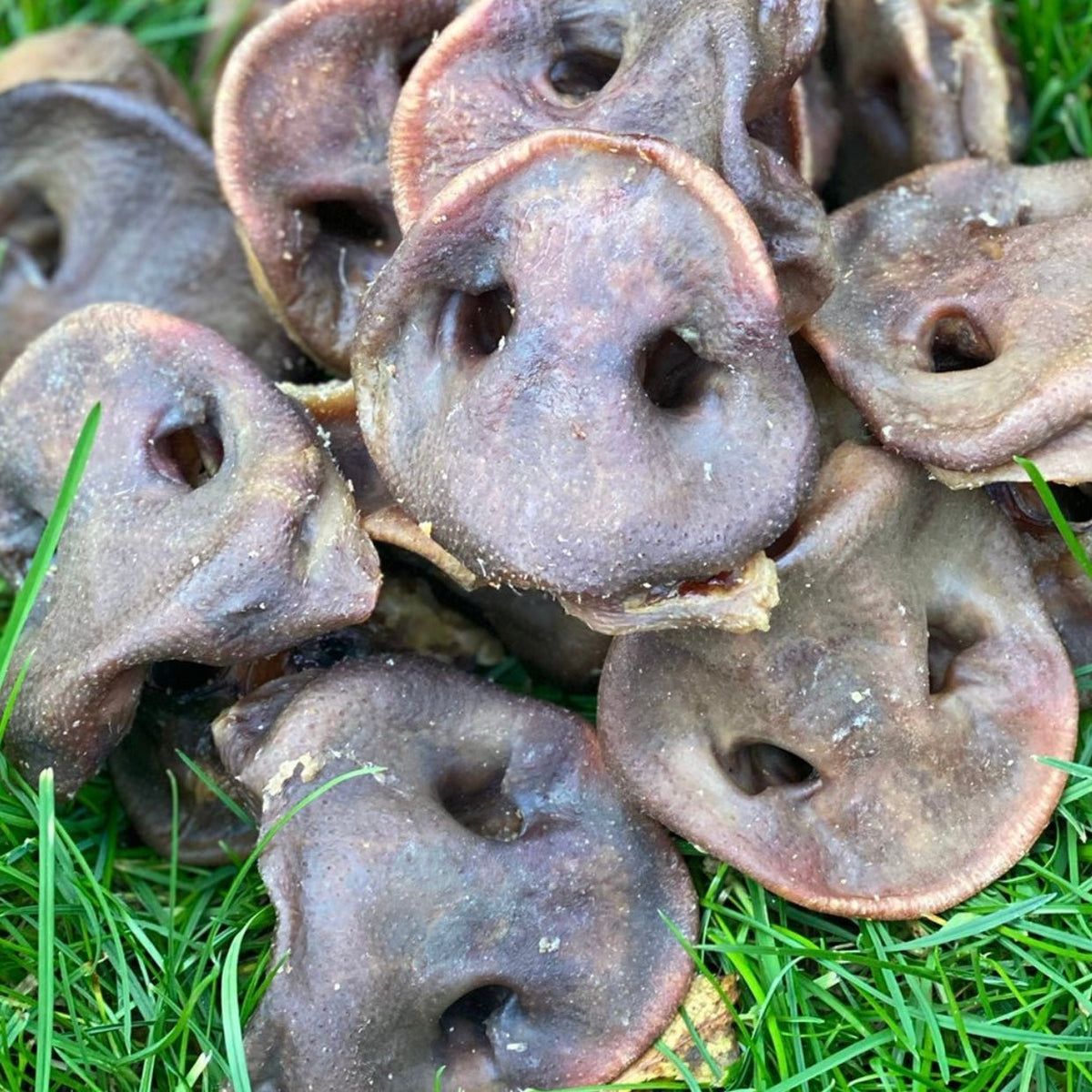Pig Snouts - Dogs Go Shop Natural Dog Chew - Grain & Gluten Free