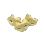 Puffed Pig Snouts - Chewbox Natural Dog Chew - Grain & Gluten Free