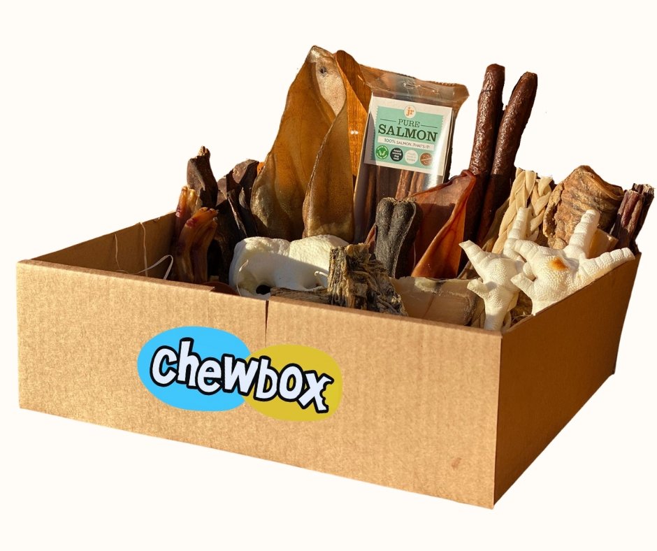 Puppy Chewbox Essential - Chewbox Natural Dog Chew - Grain & Gluten Free