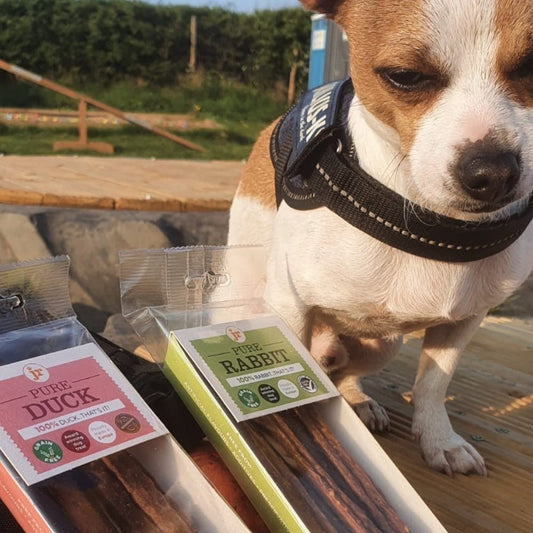 JR Pure Meat Sticks - Chewbox Natural Dog Chew - Grain & Gluten Free