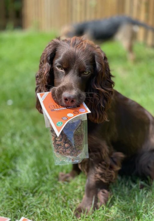 Pure Meat Training Treats - Venison, Duck, Salmon, Chicken, Lamb - Chewbox Natural Dog Chew - Grain & Gluten Free