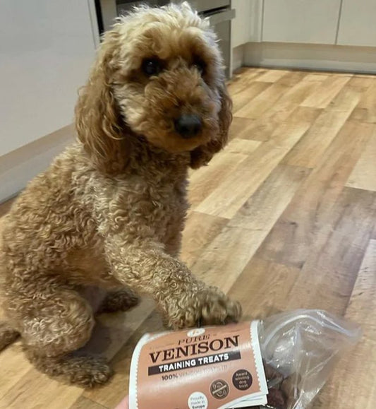 Pure Meat Training Treats - Venison, Duck, Salmon, Chicken, Lamb - Chewbox Natural Dog Chew - Grain & Gluten Free