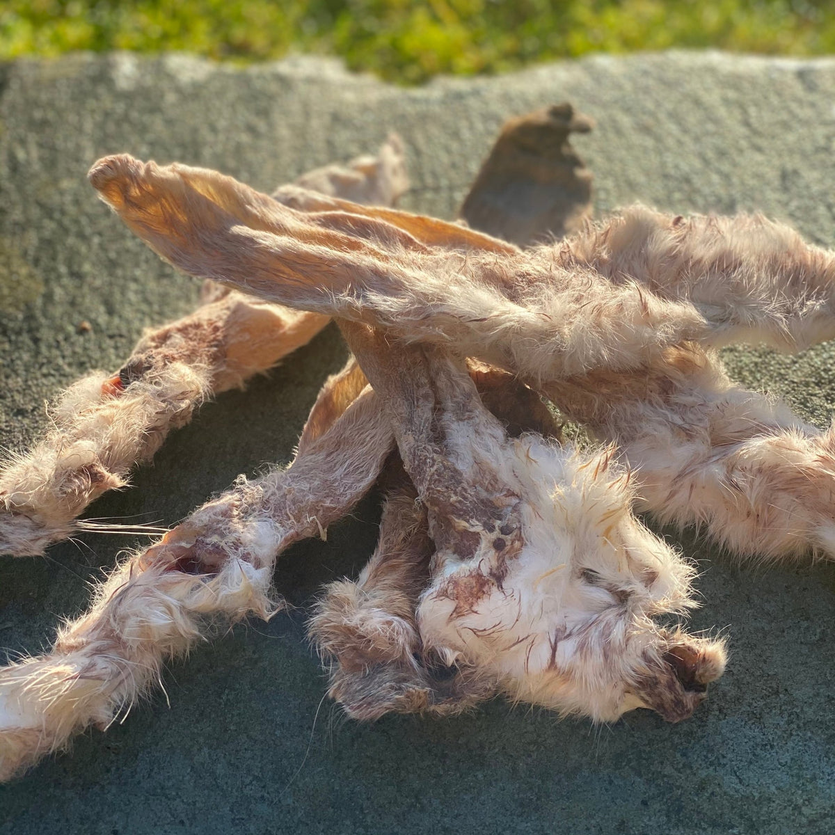 Rabbit Ears - Fur or No Fur - Dogs Go Shop Natural Dog Chew - Grain & Gluten Free