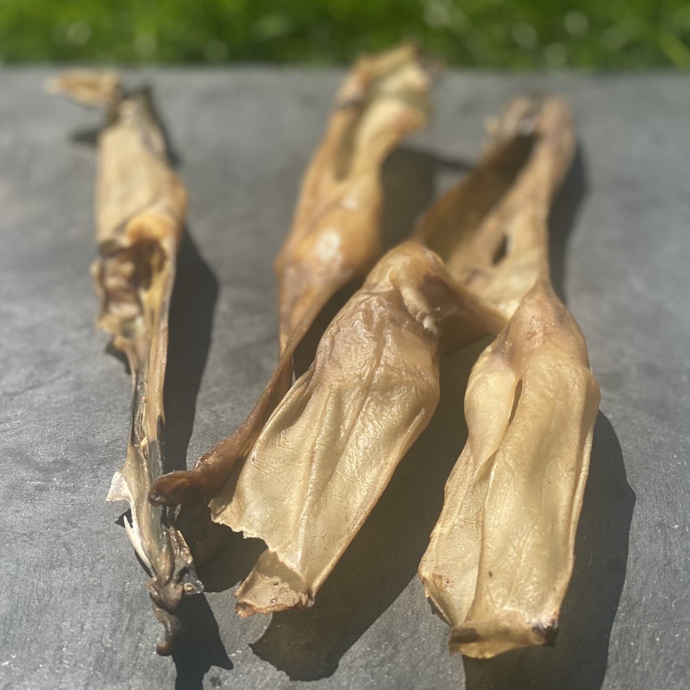 Rabbit Ears - Fur or No Fur - Dogs Go Shop Natural Dog Chew - Grain & Gluten Free