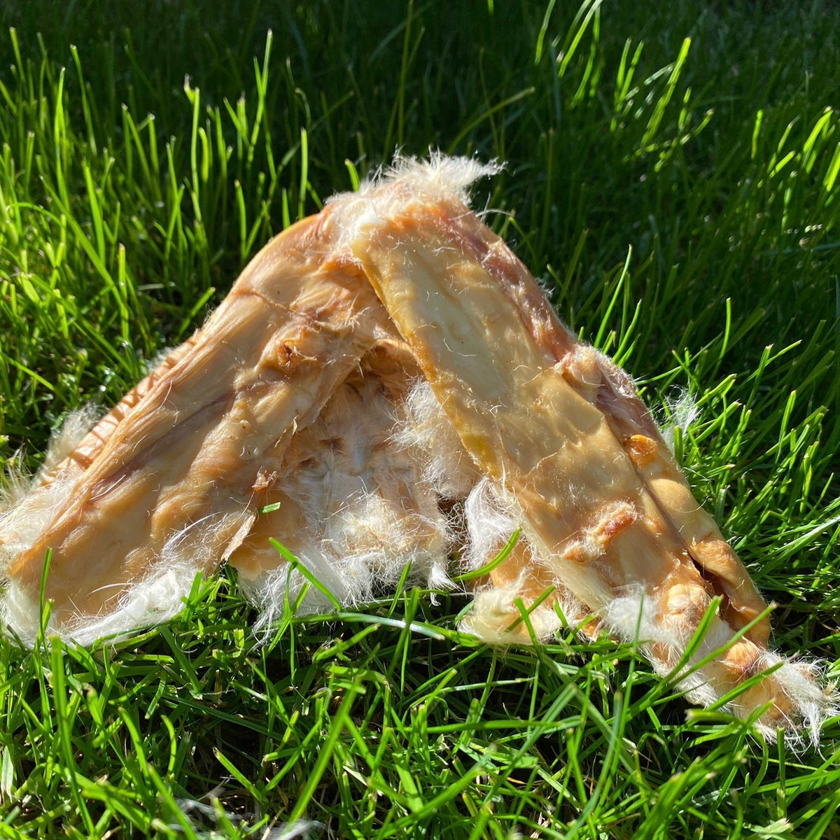 Rabbit Skin Slices with Fur - Dogs Go Shop Natural Dog Chew - Grain & Gluten Free