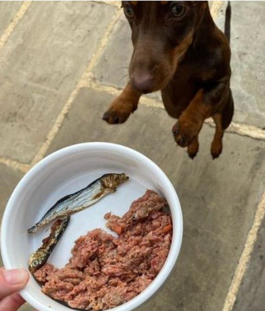 Sprats - 200g - Chewbox Natural Dog Chew - Grain & Gluten Free