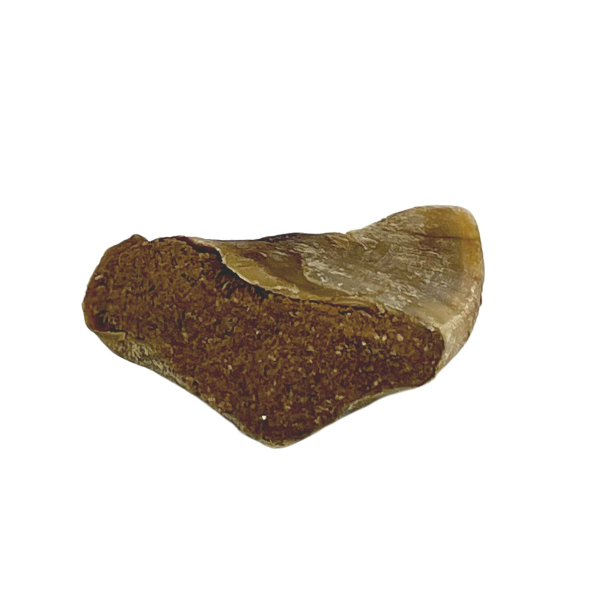 Stuffed Cow Hooves - Dogs Go Shop Natural Dog Chew - Grain & Gluten Free