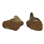 Stuffed Cow Hooves - Dogs Go Shop Natural Dog Chew - Grain & Gluten Free