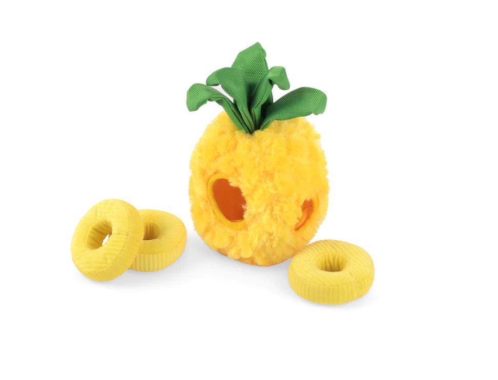 Tropical Paradise Paws Up Pineapple - Chewbox Natural Dog Chew - Grain & Gluten Free