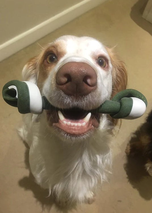 Vegetable Knotted Bones - Chewbox Natural Dog Chew - Grain & Gluten Free