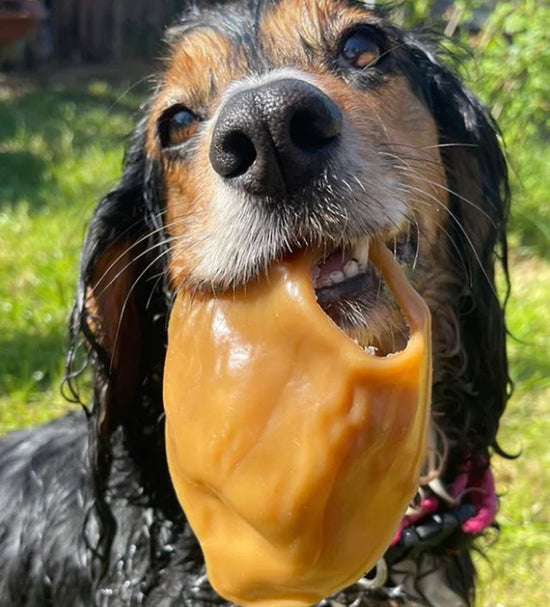 Vegetable Natural Smoked / Peanut Butter Pigs Ears All Natural Dog