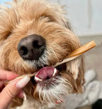 Vegetarian Fruit & Veg Straws - Dogs Go Shop Natural Dog Chew - Grain & Gluten Free