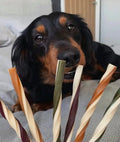 Vegetarian Fruit & Veg Straws - Dogs Go Shop Natural Dog Chew - Grain & Gluten Free