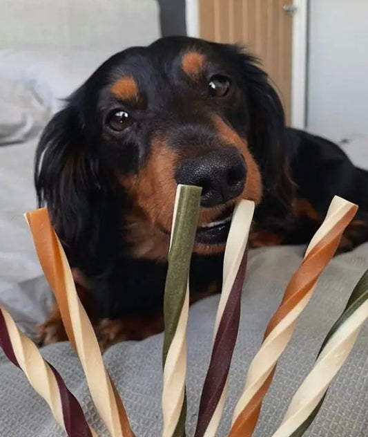 Vegetarian Fruit & Veg Straws - Chewbox Natural Dog Chew - Grain & Gluten Free